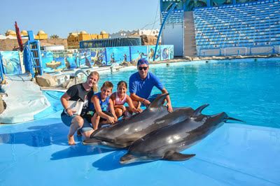 dolphins show